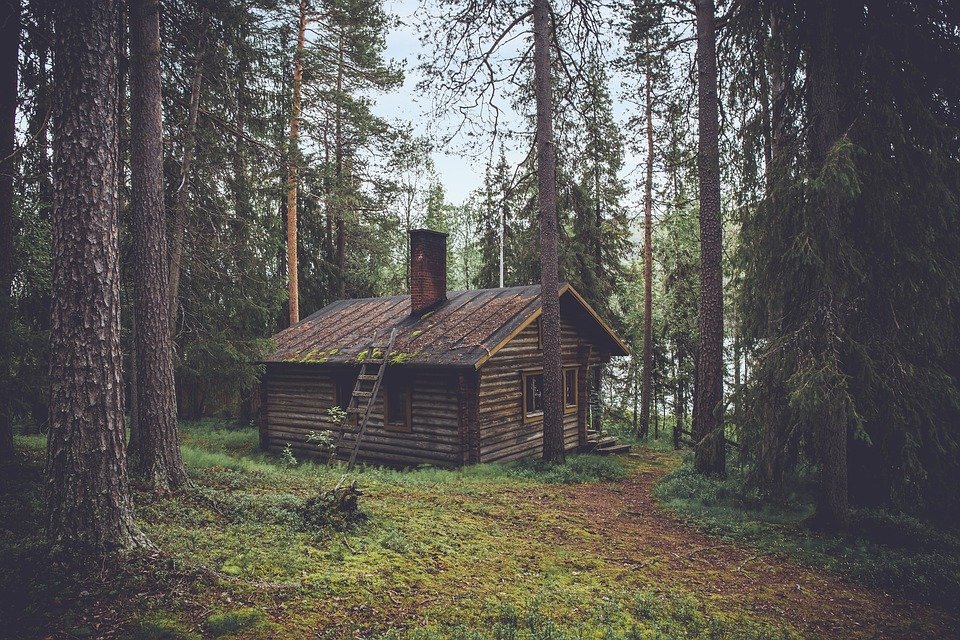 Domek v lese